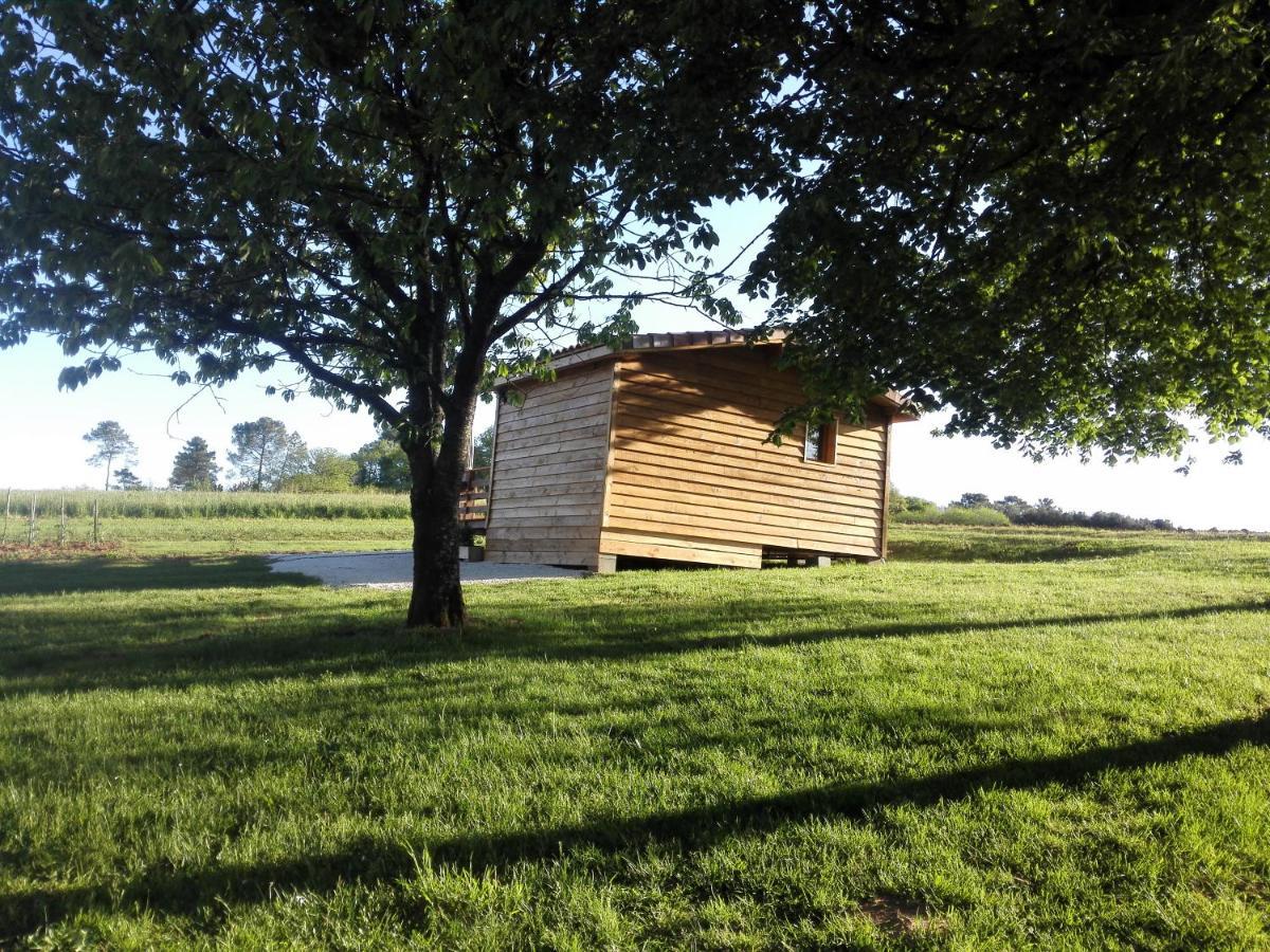 Le Chalet Douillet Saint-Genies Екстериор снимка